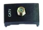Toma Catv Pin Fino Terminal Grafito