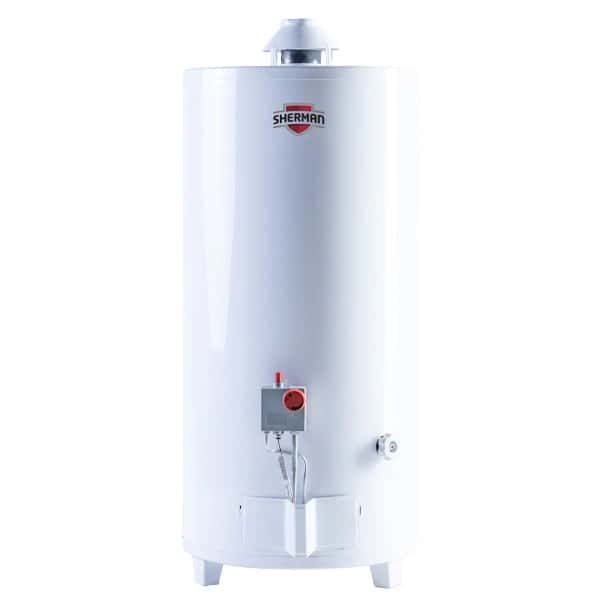 Termotanque Multigas Pie 80 Lts. C/Sup.