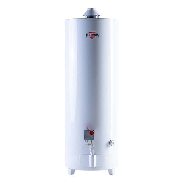 Termotanque Multigas Pie 120 Lts. C/Sup.