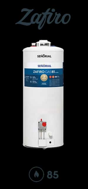 Termotanque 85 Lts. Multigas