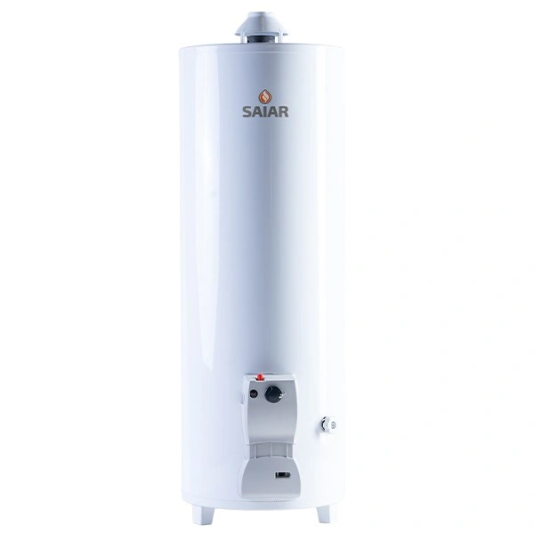 Termotanque Multigas Pie 120 Lts. C/Sup. — foto 1 de 1