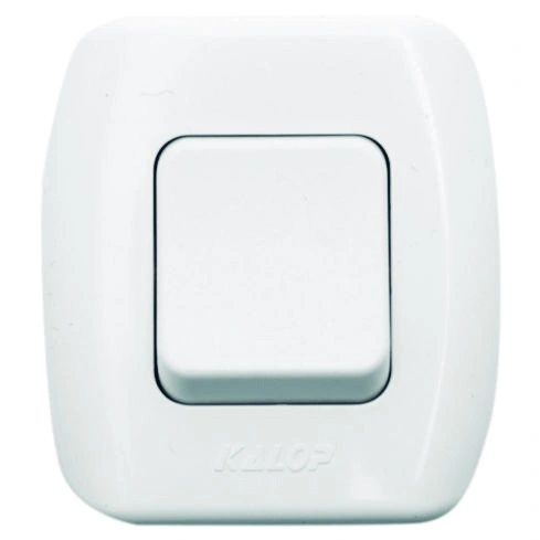 Interruptor 10 A. 250 V. Bco. Superficie — foto 1 de 1