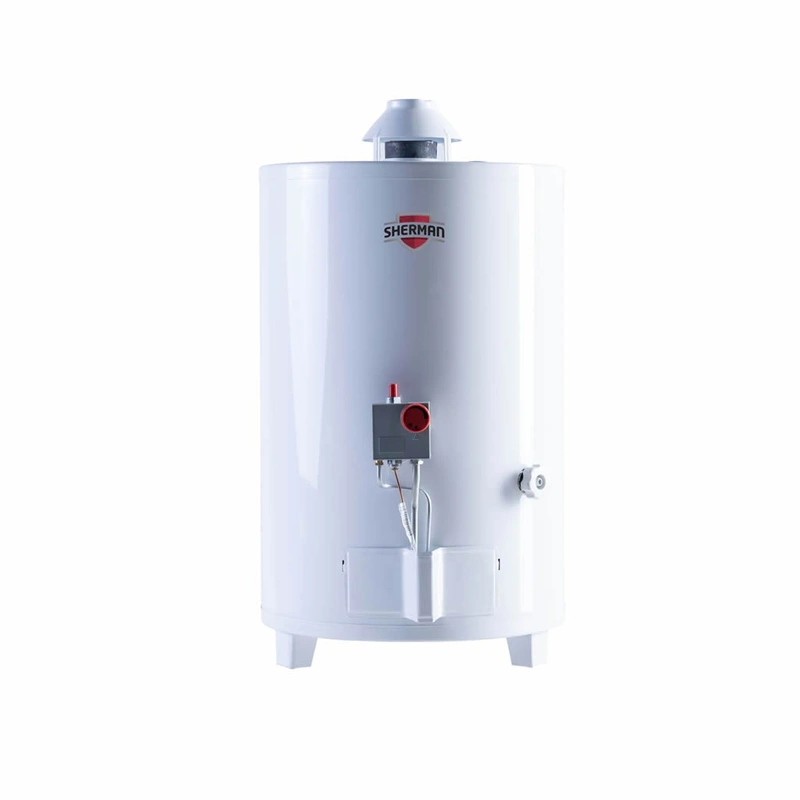 Termotanque Multigas Pie 50 Lts. C/Sup. — foto 1 de 1
