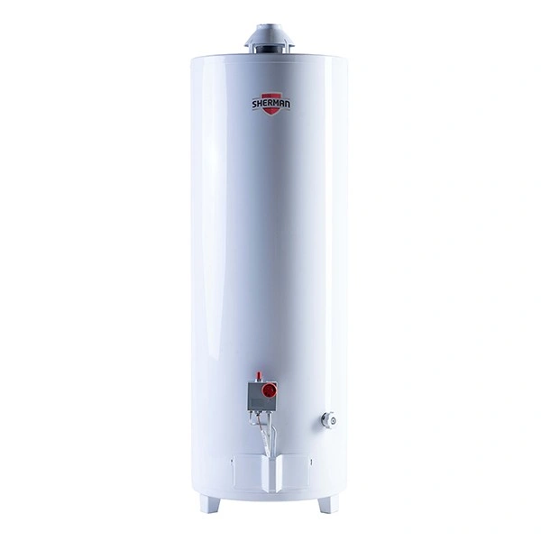 Termotanque Multigas Pie 120 Lts. C/Sup. — foto 1 de 1