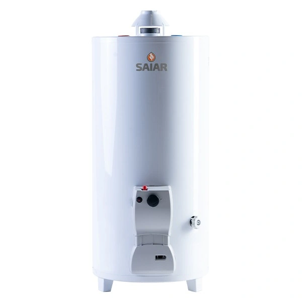 Termotanque Multigas Pie 80 Lts. C/Sup. — foto 1 de 1