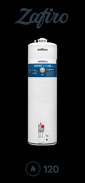 Termotanque 120 Lts. Multigas — foto 1 de 1